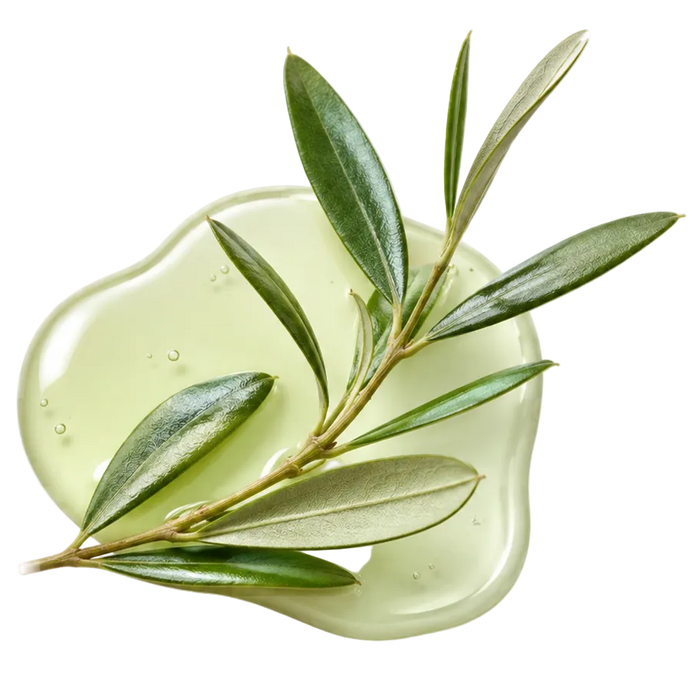 Olive Leaf Extract